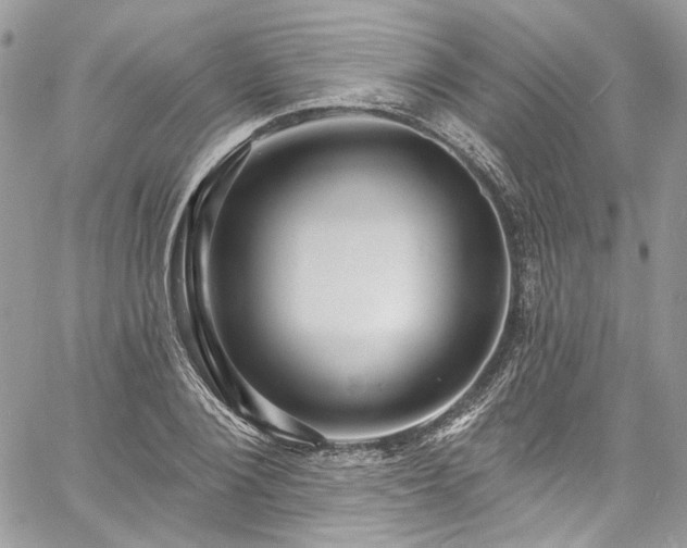 X0000060790884200511171305