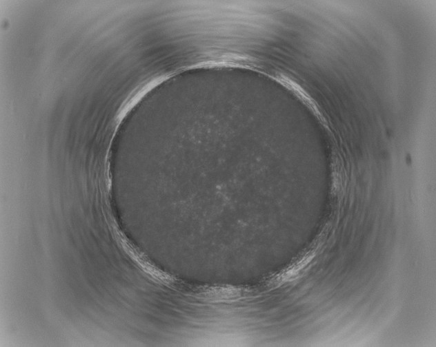 X0000060790885200511171305