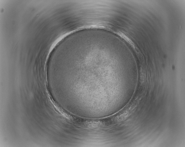 X0000060790886200511171305