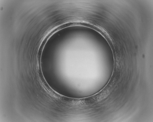 X0000060790887200511171305