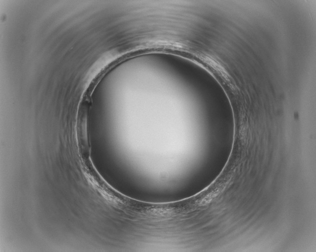 X0000060790888200511171305