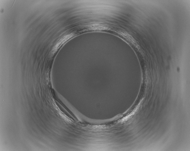 X0000060790889200511171305