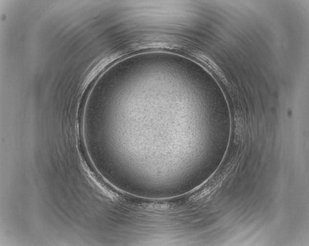 X0000060790890200511171305