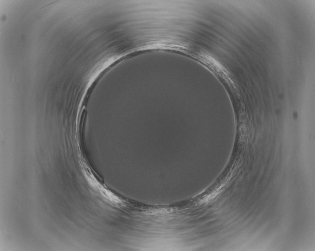 X0000060790892200511171305