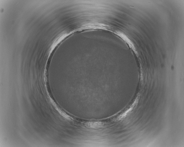 X0000060790893200511171305