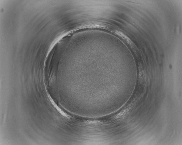 X0000060790894200511171305