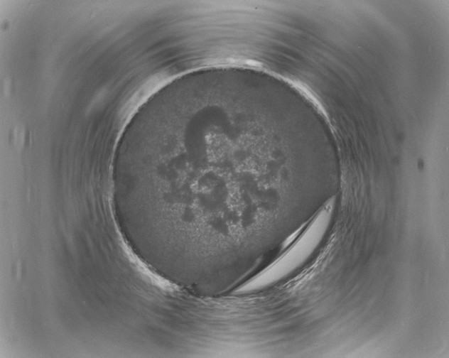 X0000060790895200511171305