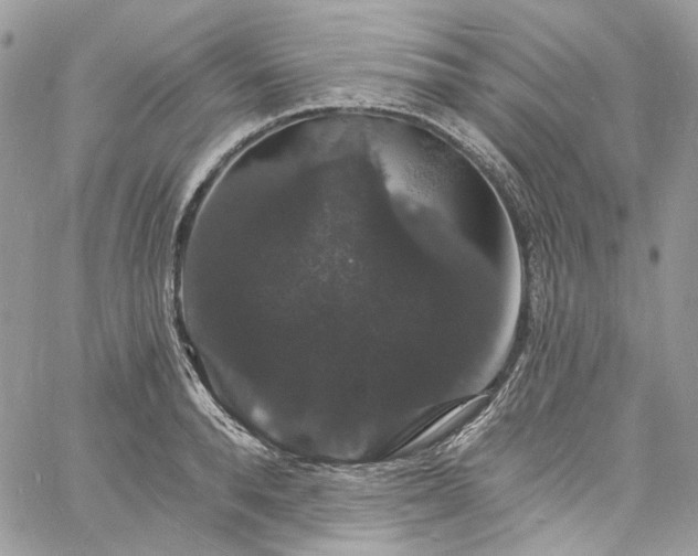 X0000060790896200511171305