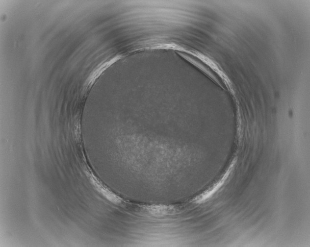 X0000060790897200511171305