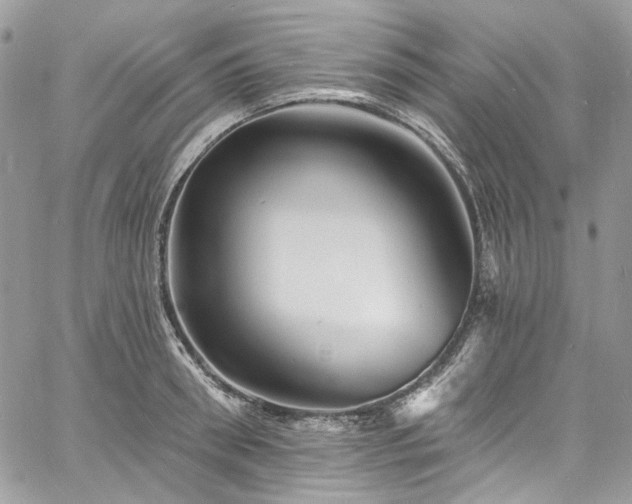 X0000060790898200511171305