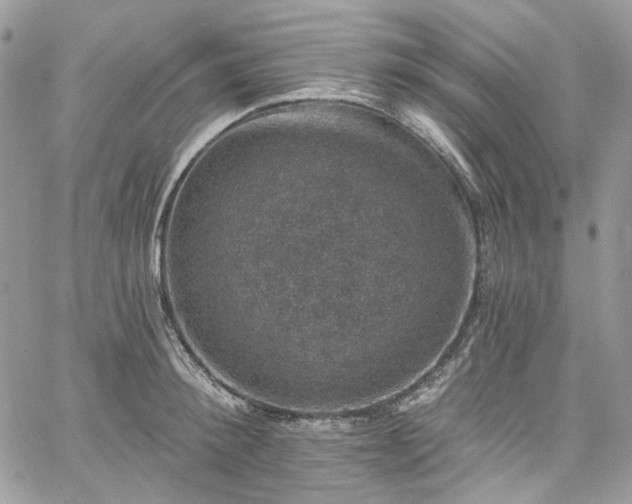 X0000060790900200511171305