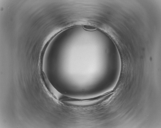 X0000060790902200511171305