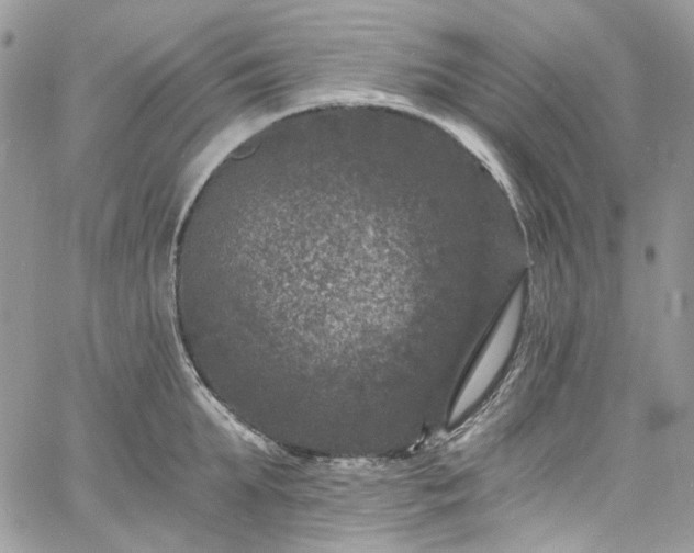 X0000060790903200511171305