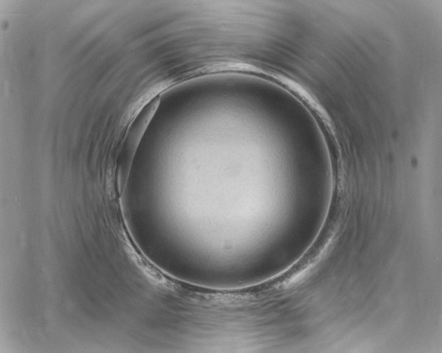 X0000060790905200511171305