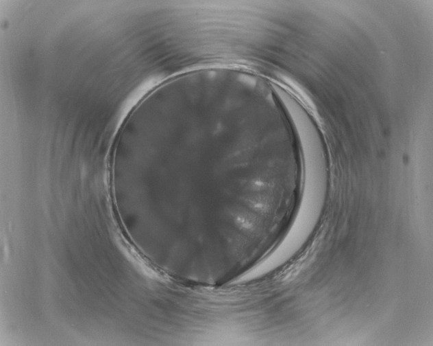 X0000060790907200511171305