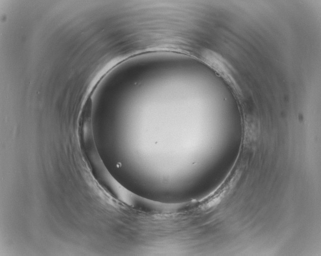 X0000060790908200511171305