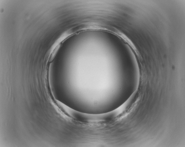 X0000060790909200511171305