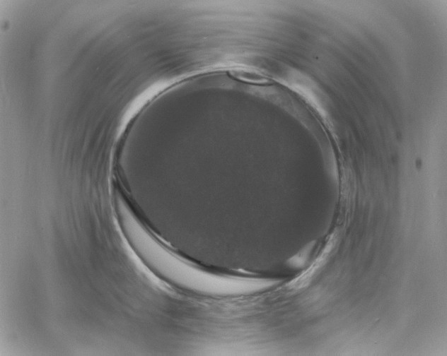 X0000060790910200511171305