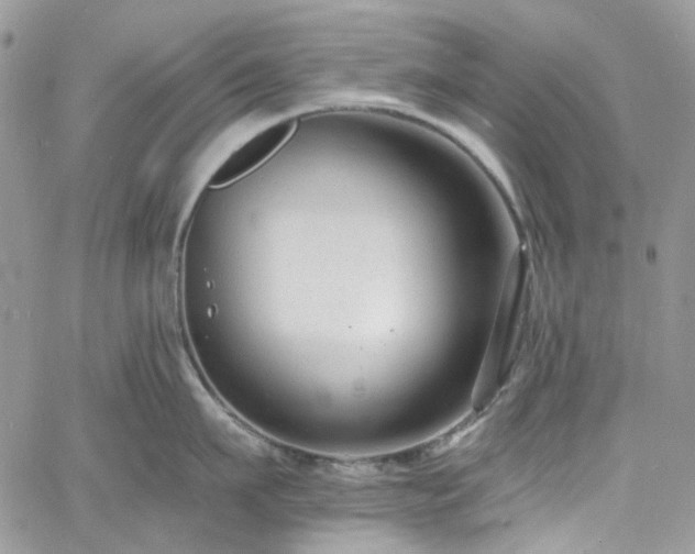 X0000060790911200511171305