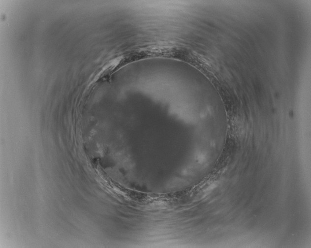 X0000060790913200511171304