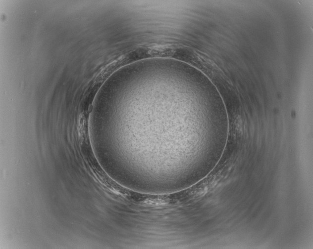 X0000060790914200511171304