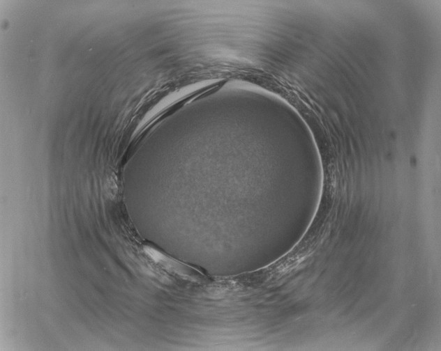 X0000060790916200511171304