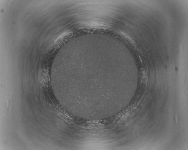 X0000060790918200511171304