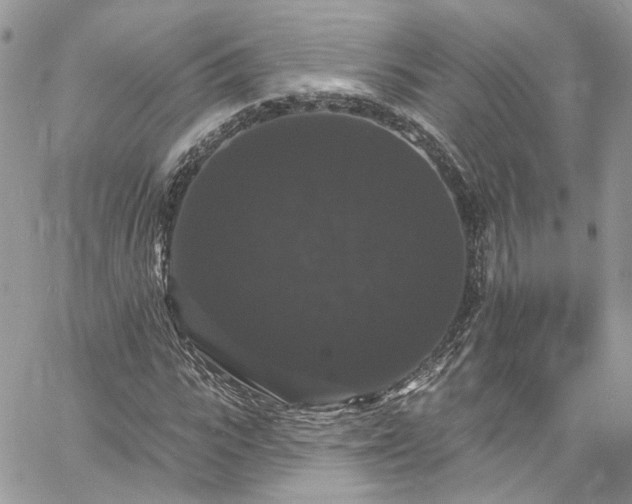 X0000060790919200511171304