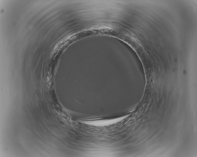 X0000060790920200511171304