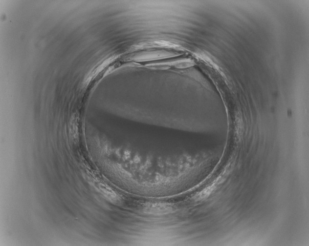 X0000060790921200511171304