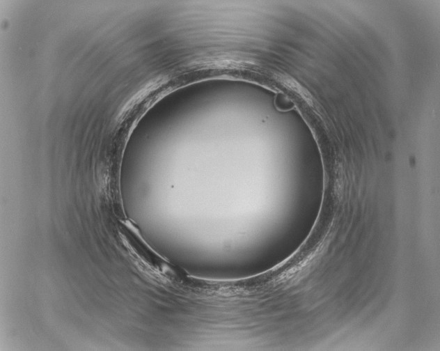 X0000060790922200511171304