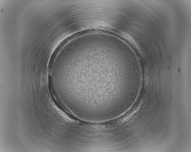 X0000060790924200511171304