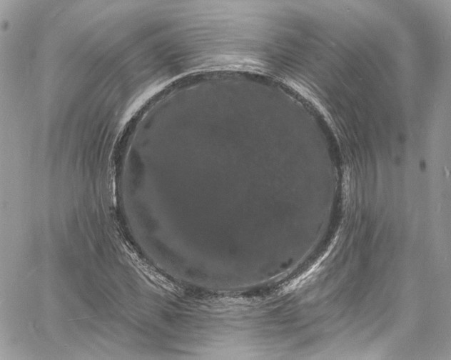 X0000060790925200511171304