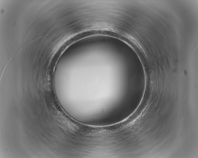 X0000060790926200511171304