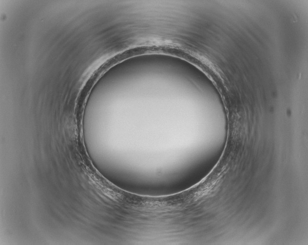 X0000060790927200511171304