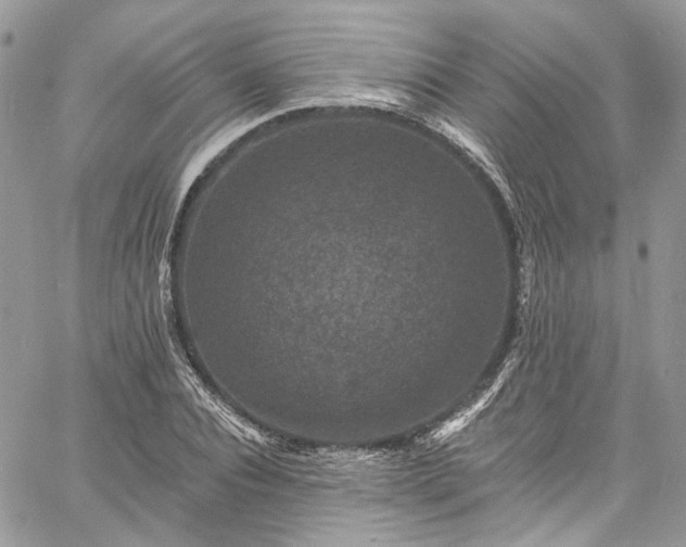 X0000060790928200511171304