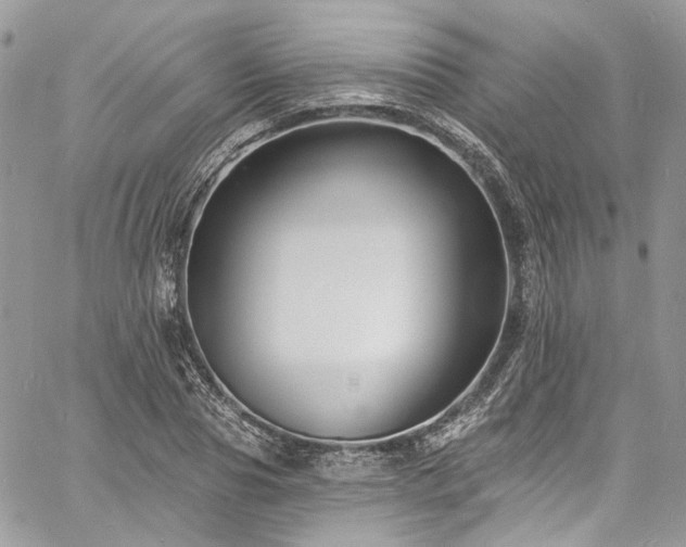 X0000060790929200511171304