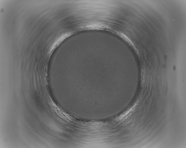 X0000060790930200511171304