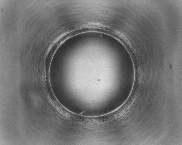 X0000060790931200511171304