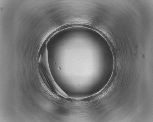 X0000060790933200511171304