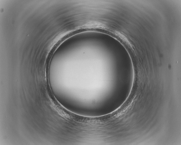 X0000060790934200511171304