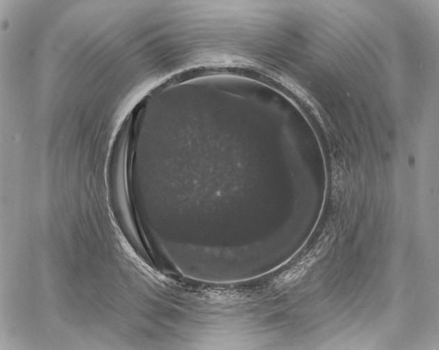 X0000060790935200511171304