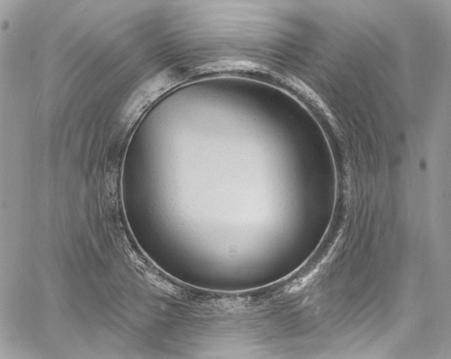 X0000060790937200511171304