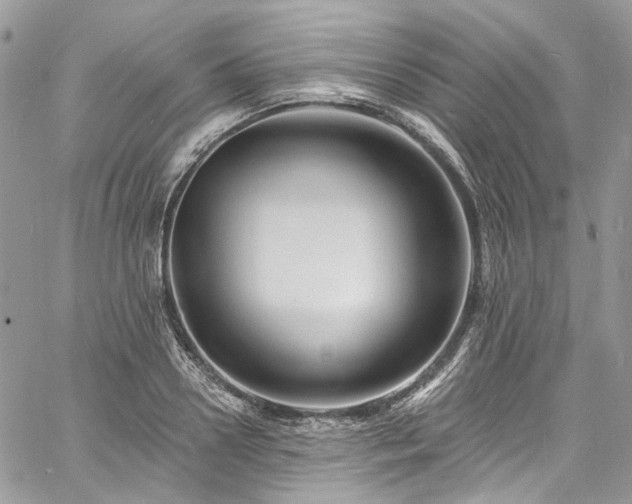 X0000060790938200511171304