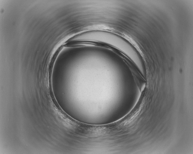 X0000060790939200511171304