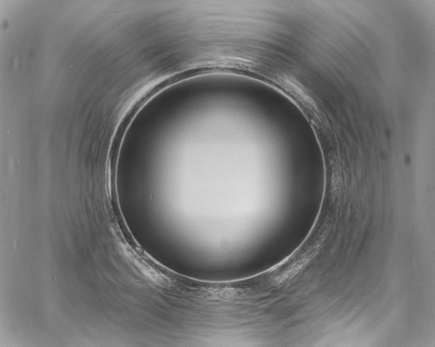 X0000060790940200511171305