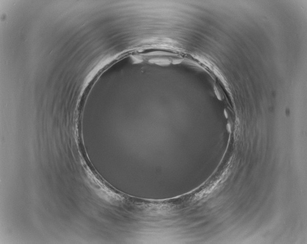 X0000060790941200511171305