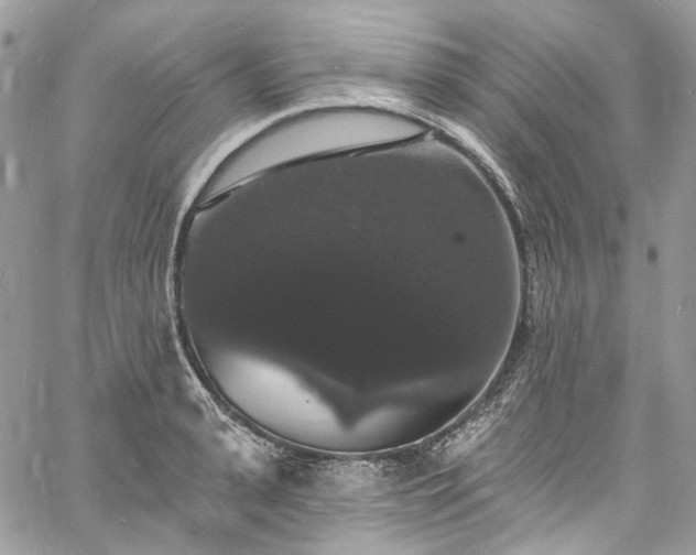 X0000060790943200511171305