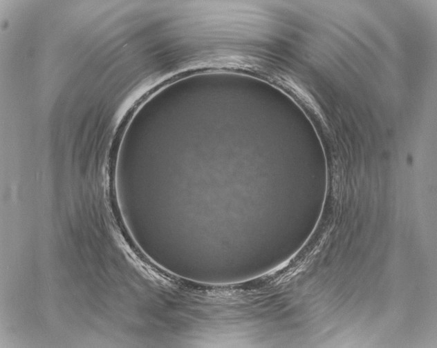 X0000060790944200511171305