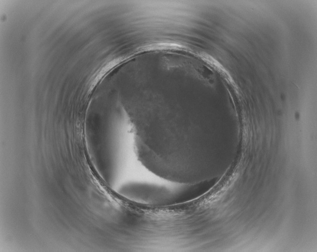 X0000060790945200511171305